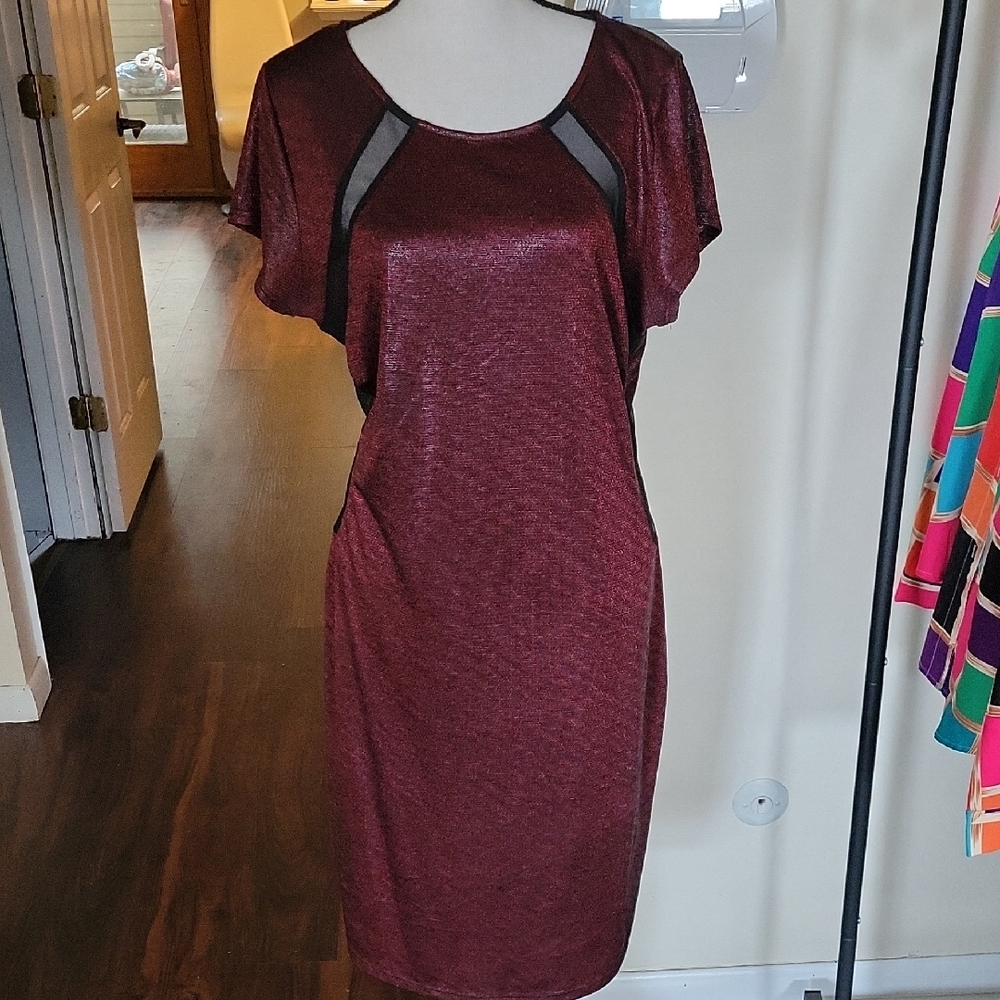 Elegant Burgundy Dress
